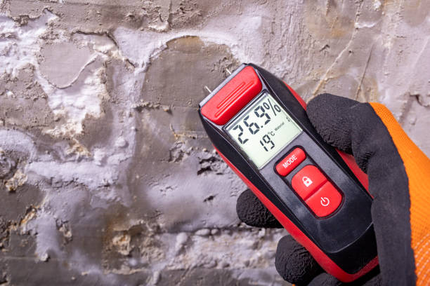 Office Mold Removal Services in Enetai, WA